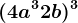 (4a^3+2b)^3