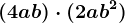 (4ab)\cdot (2ab^2)