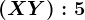 (X+Y):5