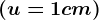 (u=1 cm)