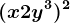(x+2y^3)^2