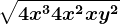 \sqrt4x^3+4x^2+xy^2