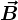 \vec B
