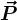 \vec P