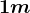 1 m
