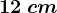 12\: cm