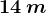 14\: m
