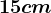 15cm