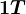 1T
