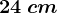24\: cm