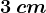 3 \: cm