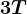 3T