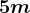 5 m