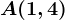 A(1,4)