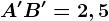 A'B'=2,5