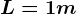L=1m