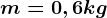 m=0,6 kg