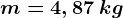 m=4,87\: kg