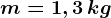 m = 1,3\, kg
