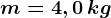 m = 4, 0\, kg