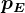 pE