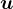 u