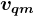 vqm